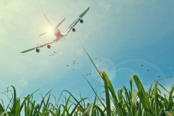SOSTENIBILIDAD AMBIENTAL
